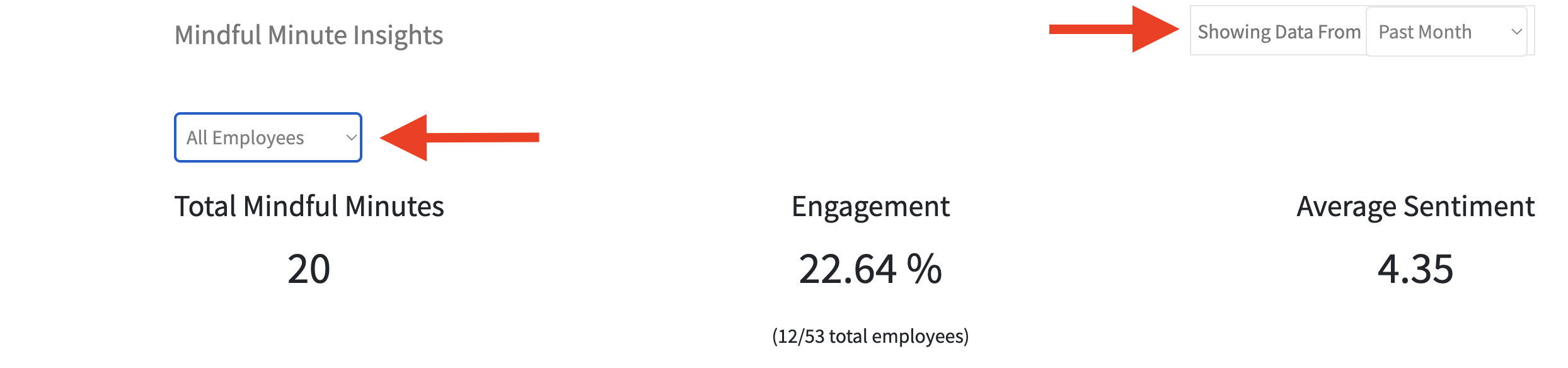 mindful filter by dr